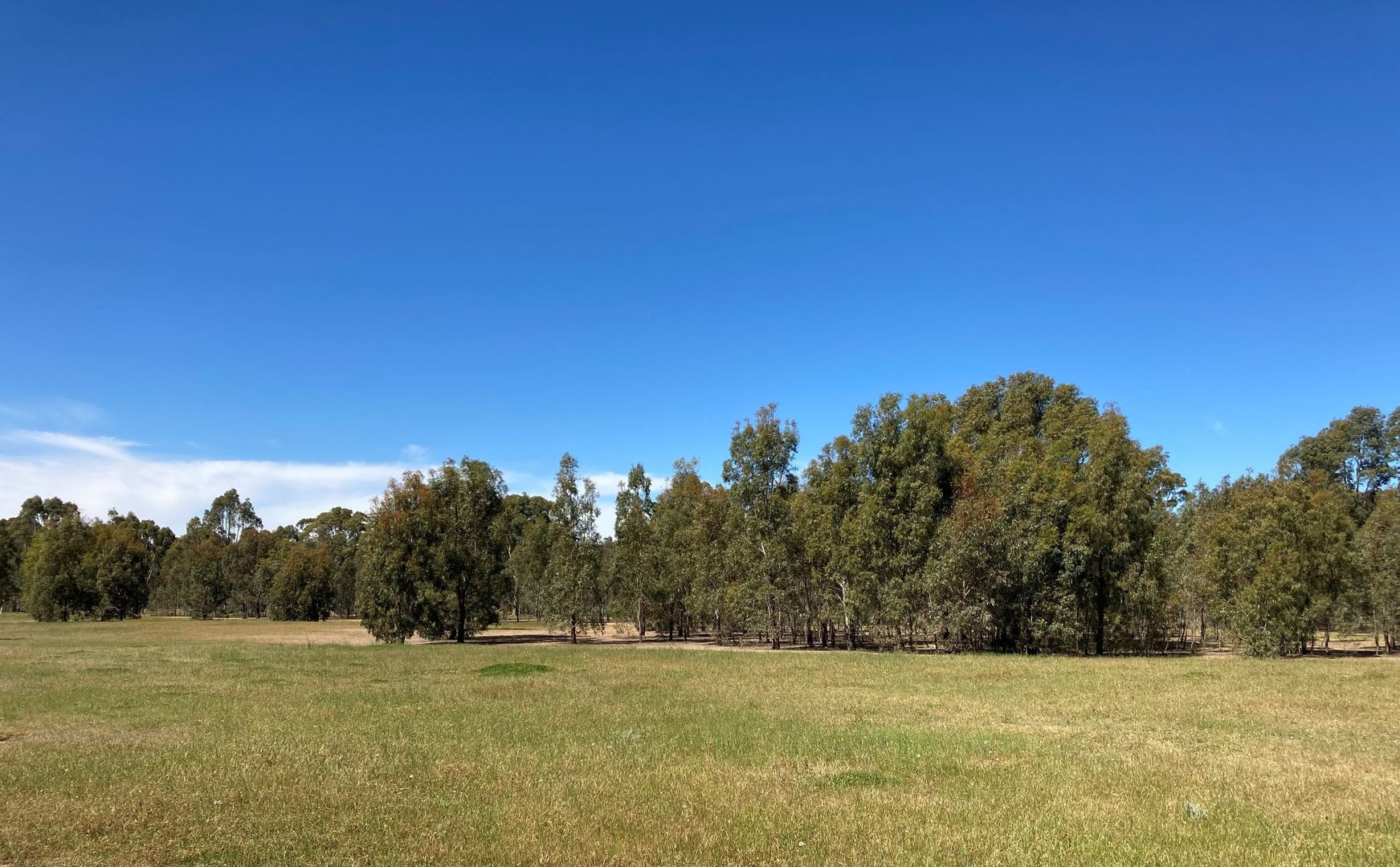 Lot 1 65 Condon Lane, Mcintyre VIC 3472, Image 2