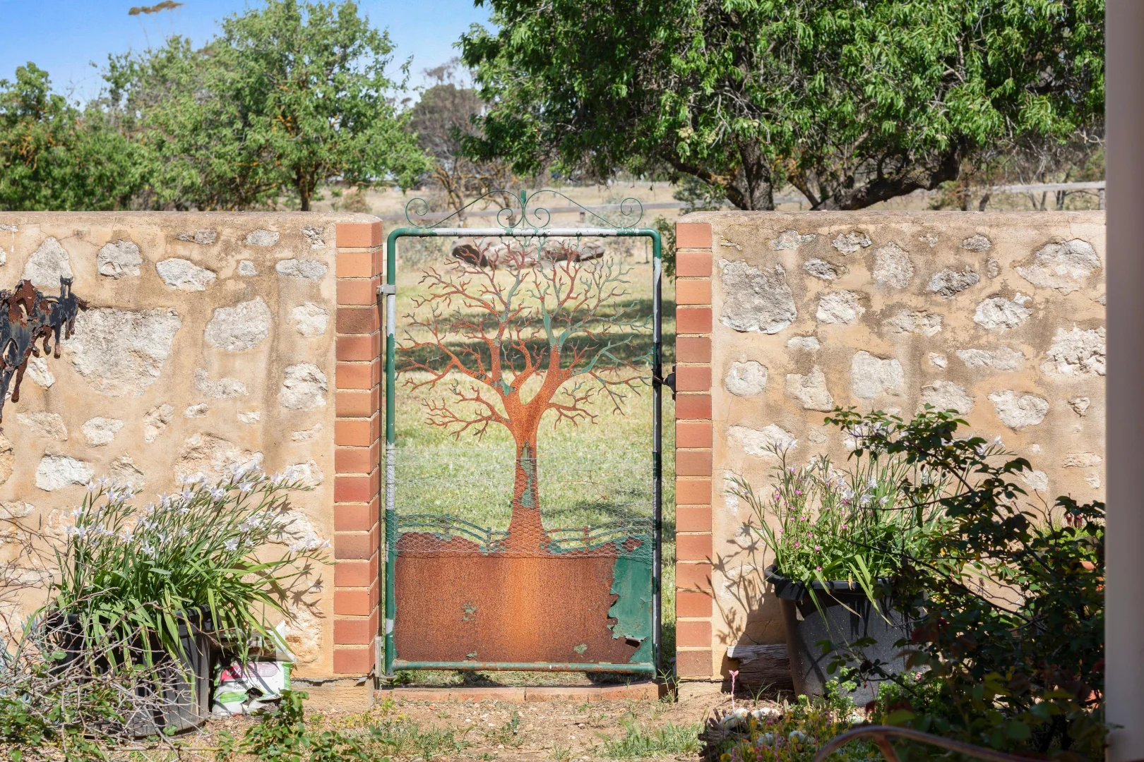 Image 31