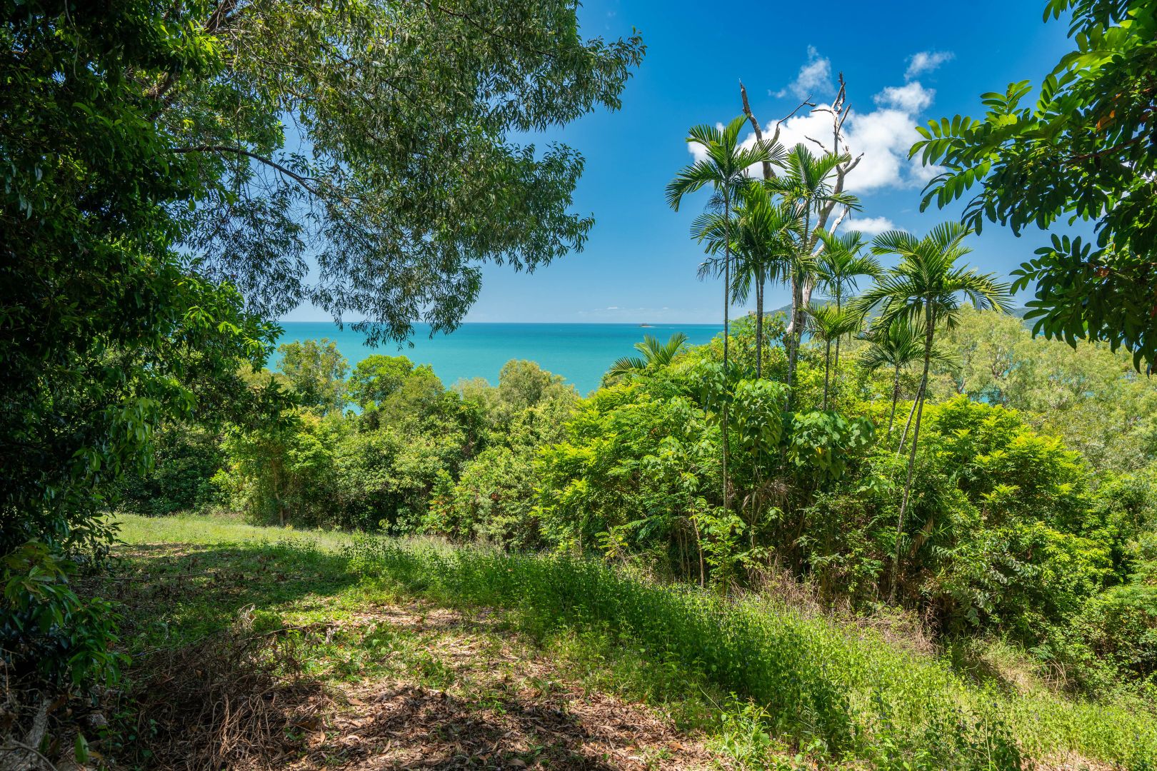 1/73 Explorers Drive, South Mission Beach QLD 4852 Domain