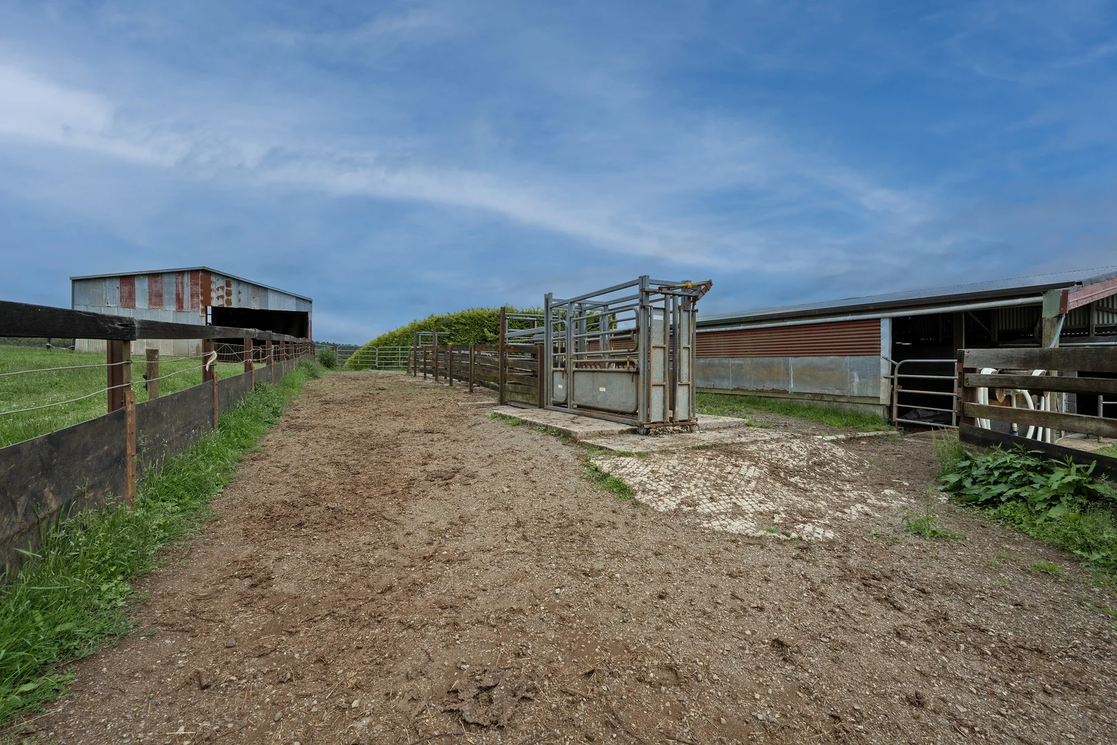 Image 21