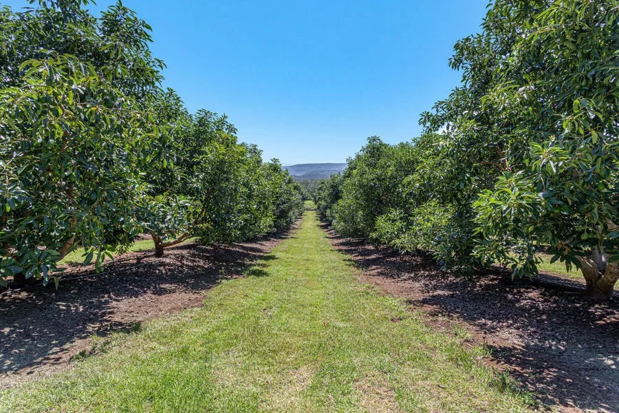 Additional image 21 of Lot 4 Horrex Road, Ravensbourne QLD 4352