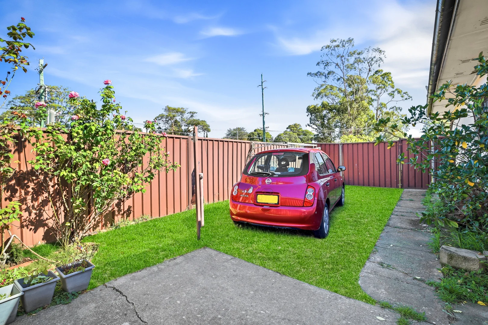 Image 13