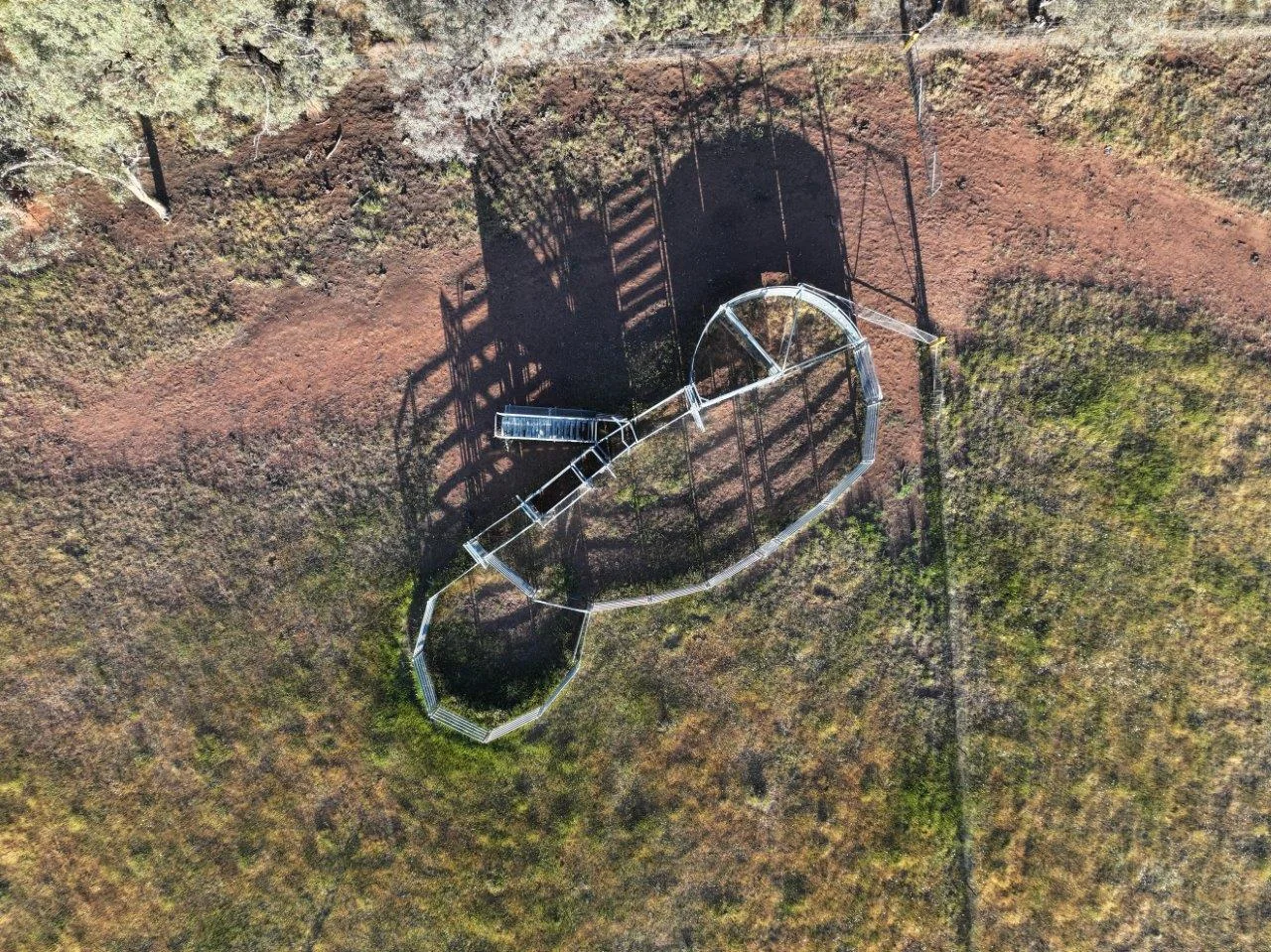 Image 11