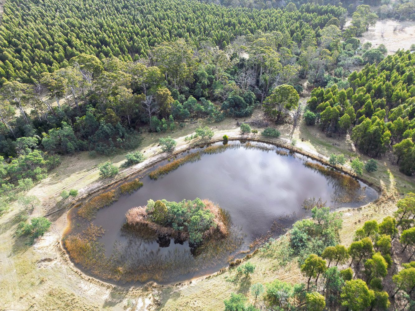 241 Williams Road, Royal TAS 7213 Vacant Land for Sale