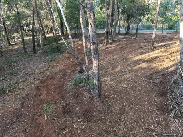 Image 5