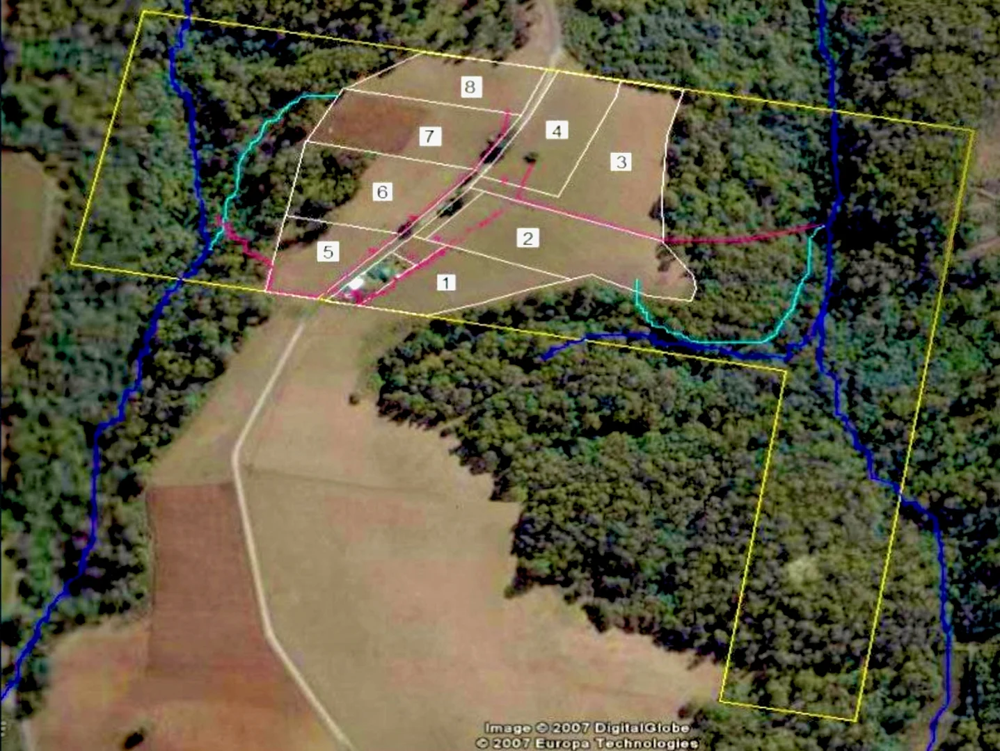 Image 4