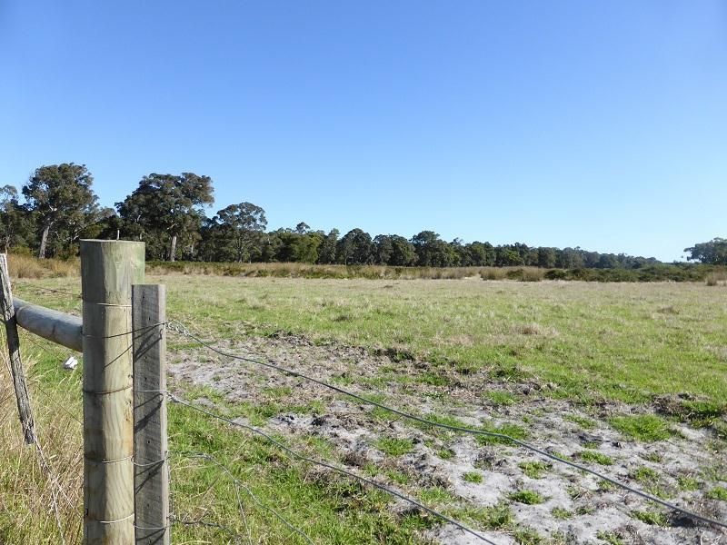 Lot 10 McLeod Creek Road, Karridale WA 6288, Image 2