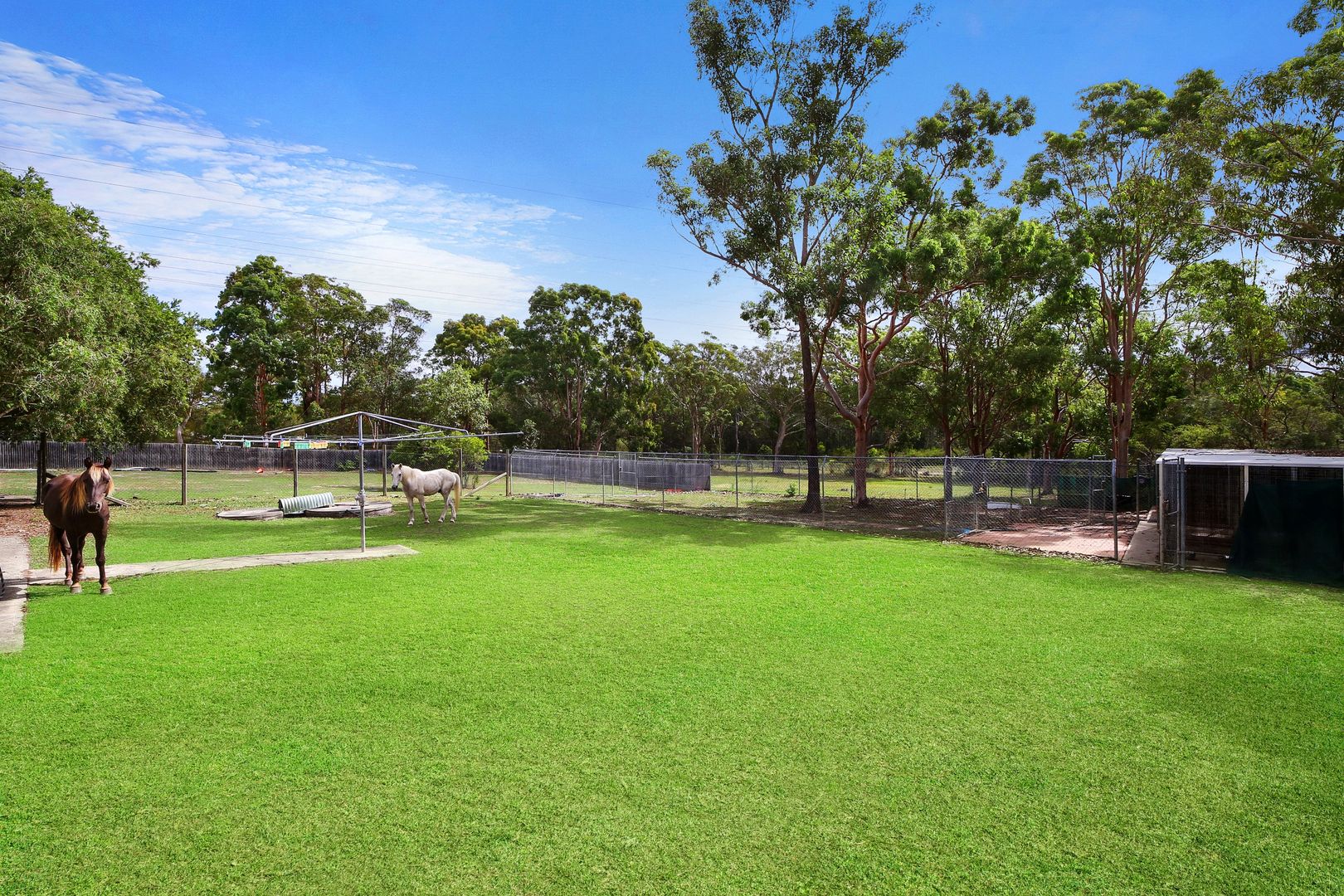 41 Larapinta Drive, Wyee Point NSW 2259, Image 2