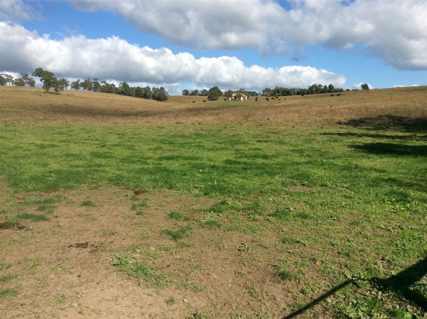 Lot 2 Lawless Road, Churchill VIC 3842, Image 2