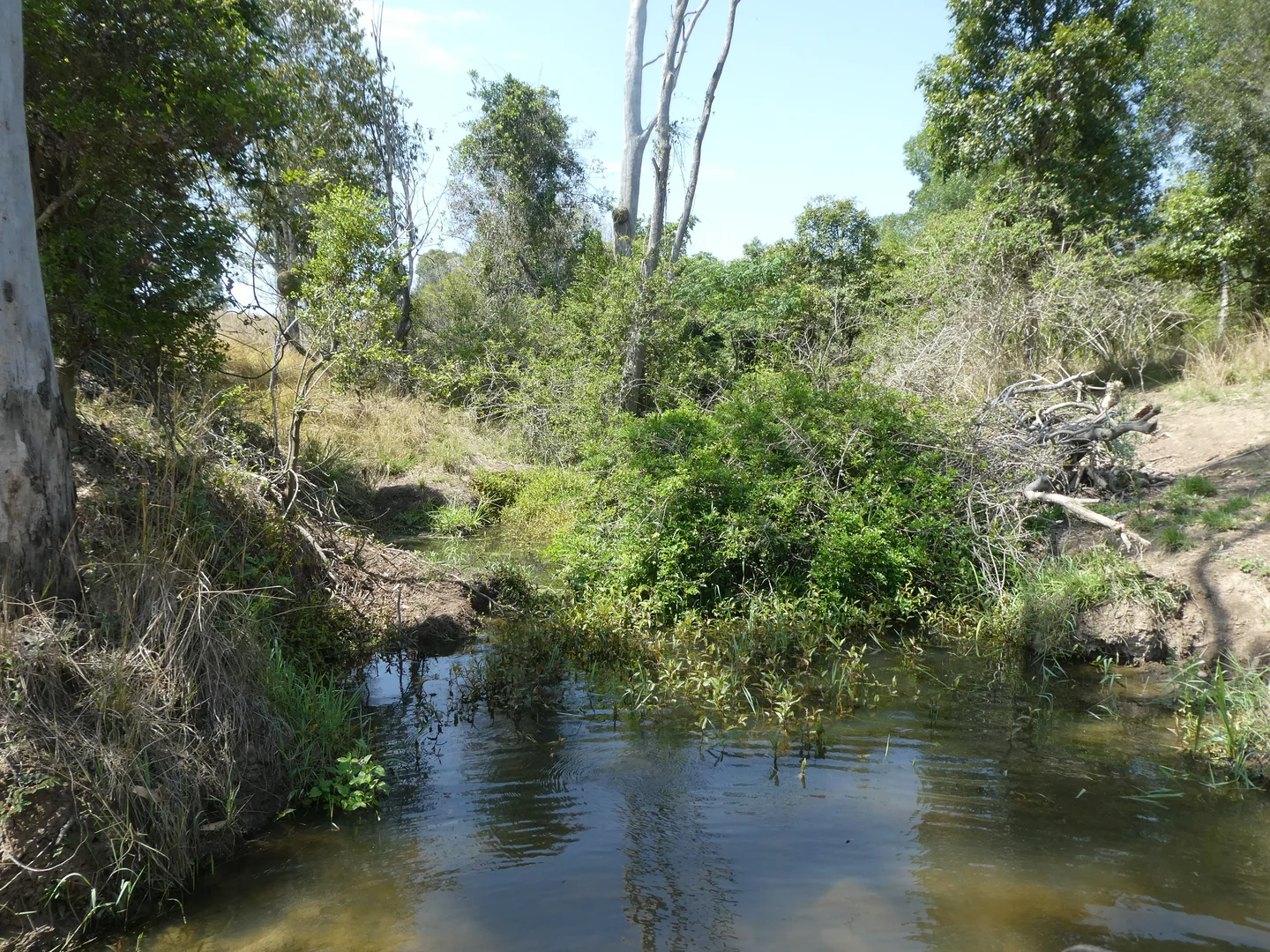 Image 18