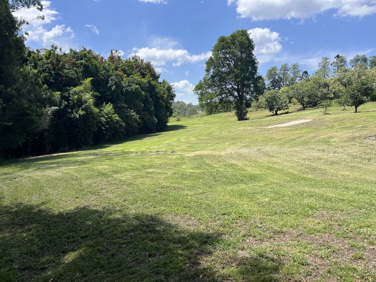 Image 15