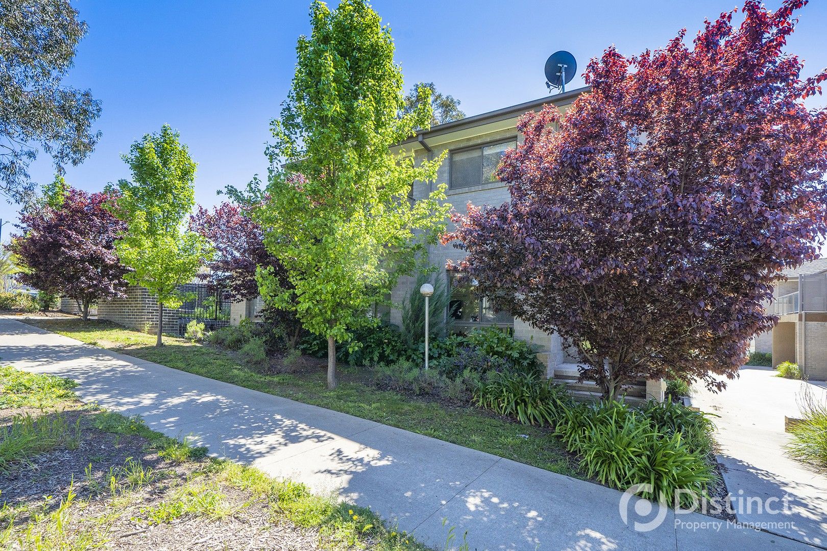 3 bedrooms House in 1/12 Lomax Street FORDE ACT, 2914