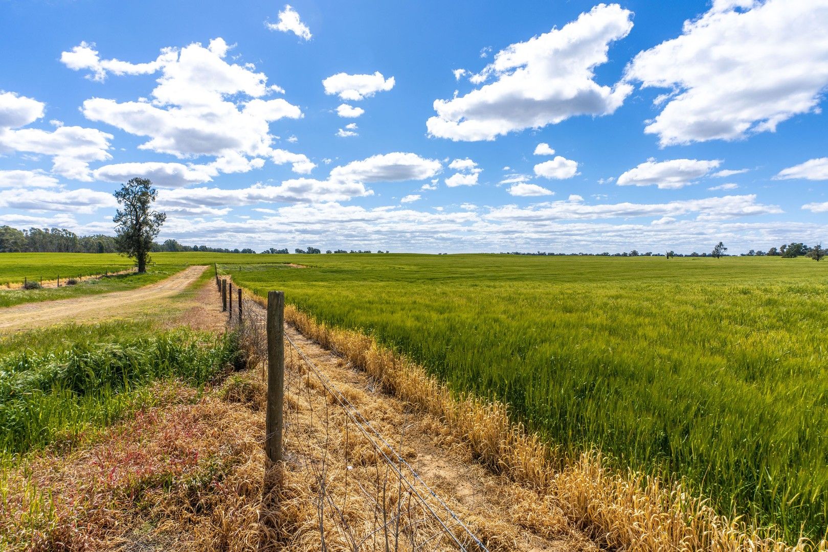 Lot 2/3703 Lot 2/3703 Barooga-Tocumwal Road,, Barooga NSW 3644, Image 0