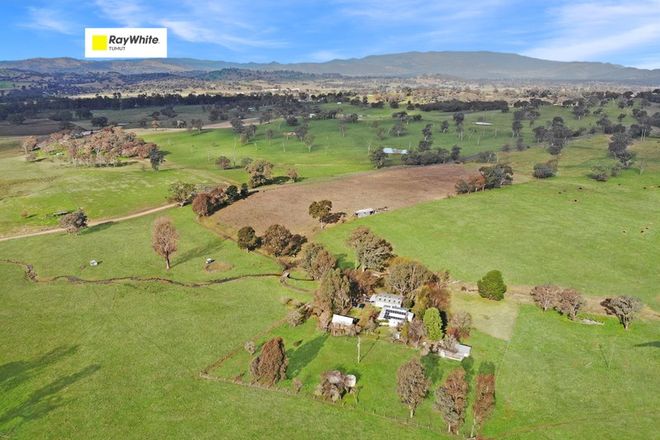 Picture of 185 Gocup Farms Road, GOCUP NSW 2720