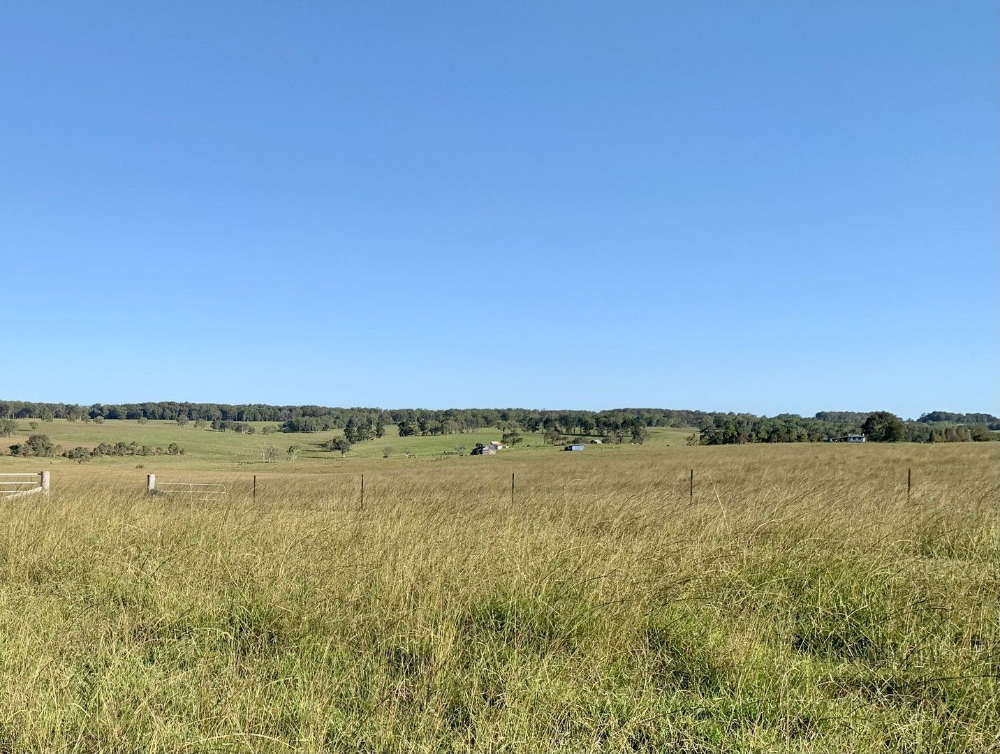 Vacant land in 5440 Mt Lindesay Road, LISTON NSW, 2372