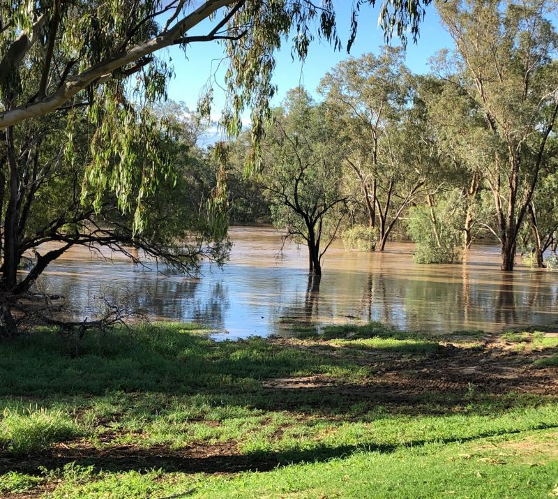 St QLD 4487 House for Sale Domain