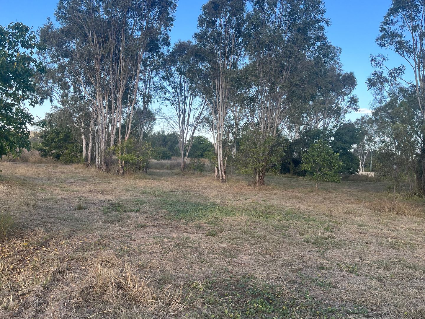Lot 3 North Street, Laidley QLD 4341, Image 2