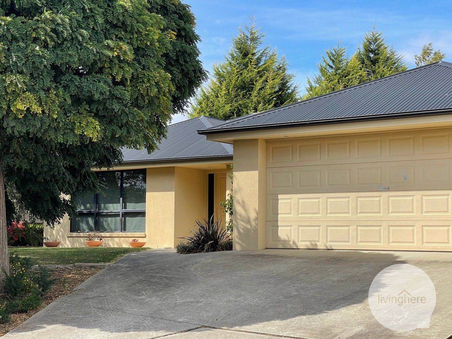 13 Bartlett Grove, Newnham TAS 7248 House For Rent 530 Domain