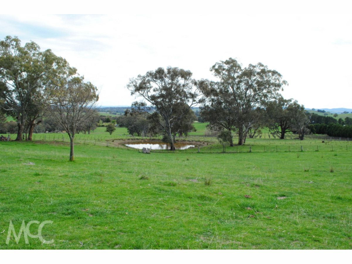 'Galens Tor' 38 Offner Road, Orange NSW 2800, Image 2