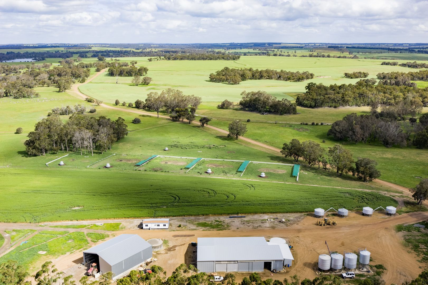 Blackwattle and Russell Road, West Cape Howe, Hay Shed Hill and wineries, Frankland River WA 6396, Image 1