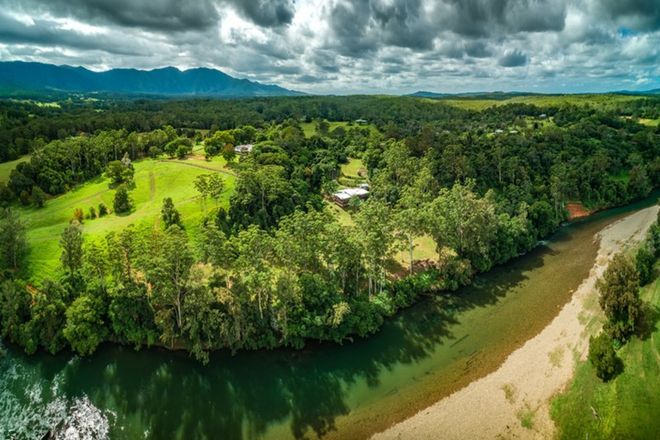 Picture of 439 Roses Road, BELLINGEN NSW 2454