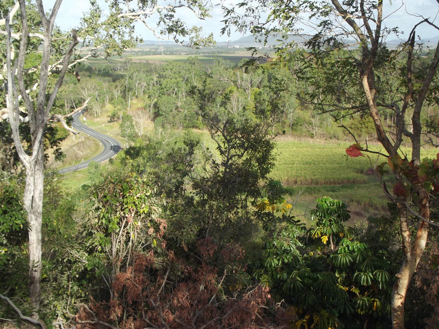 Devereux Creek QLD 4753, Image 1