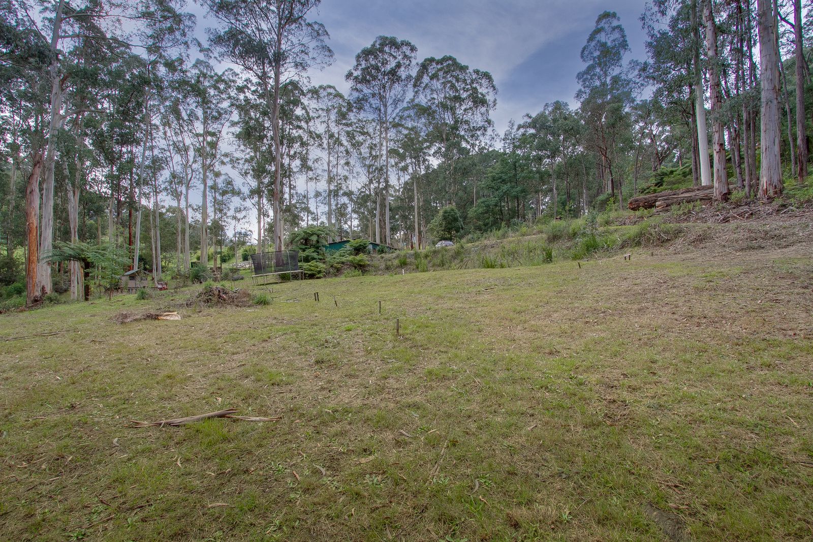 2 Kilbaha Road, Cockatoo VIC 3781, Image 0