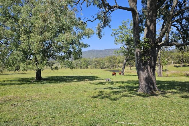 Picture of 370 Torryburn rd Torryburn via, VACY NSW 2421