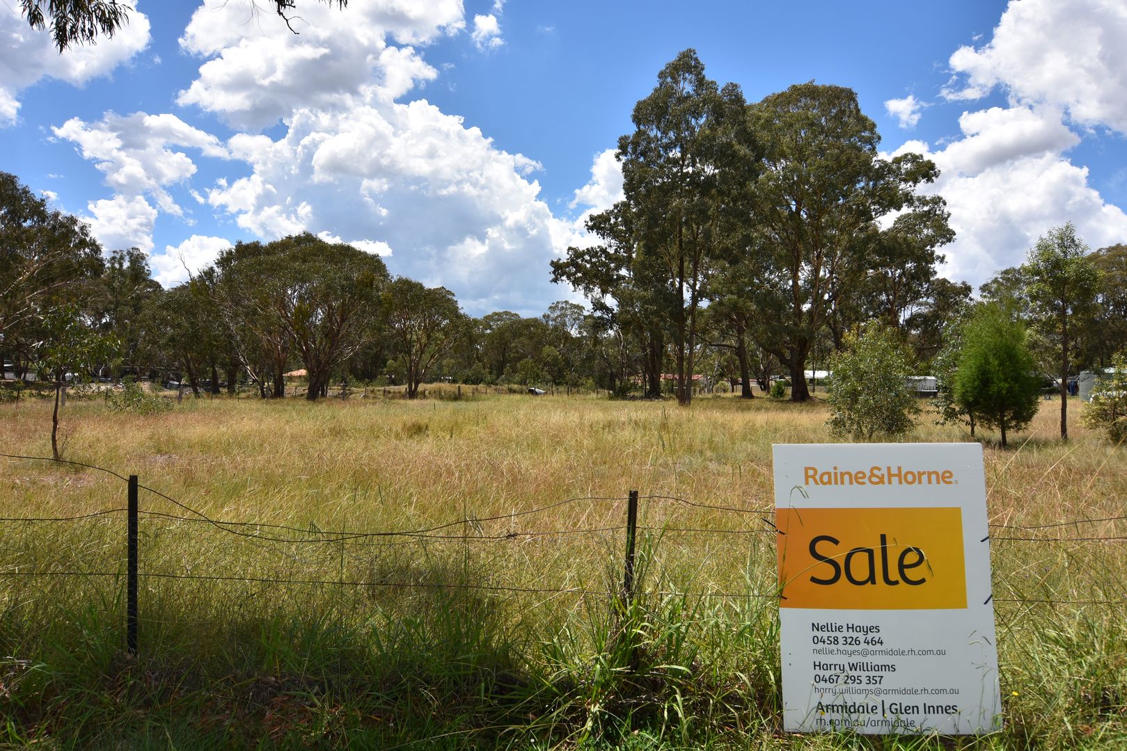 Lot 264 16 Gap Street, Emmaville NSW 2371 Domain