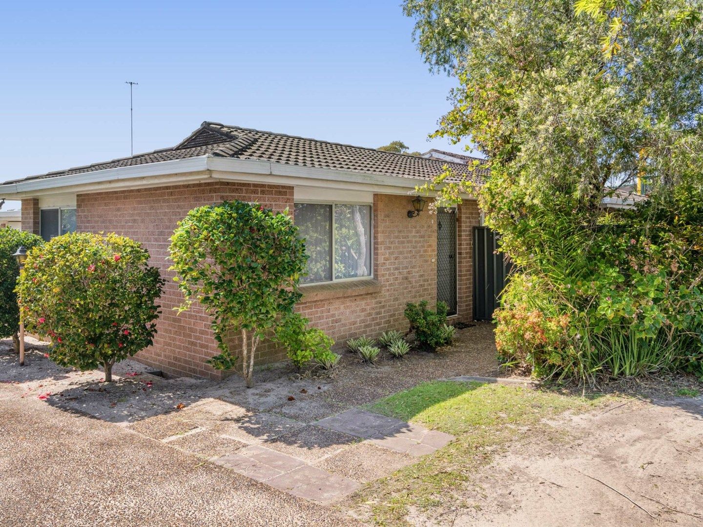 1/294 Main Road, Toukley NSW 2263, Image 0