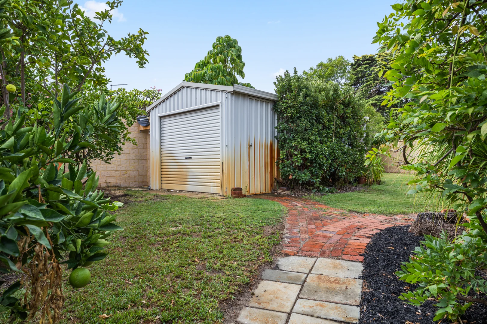 Image 20