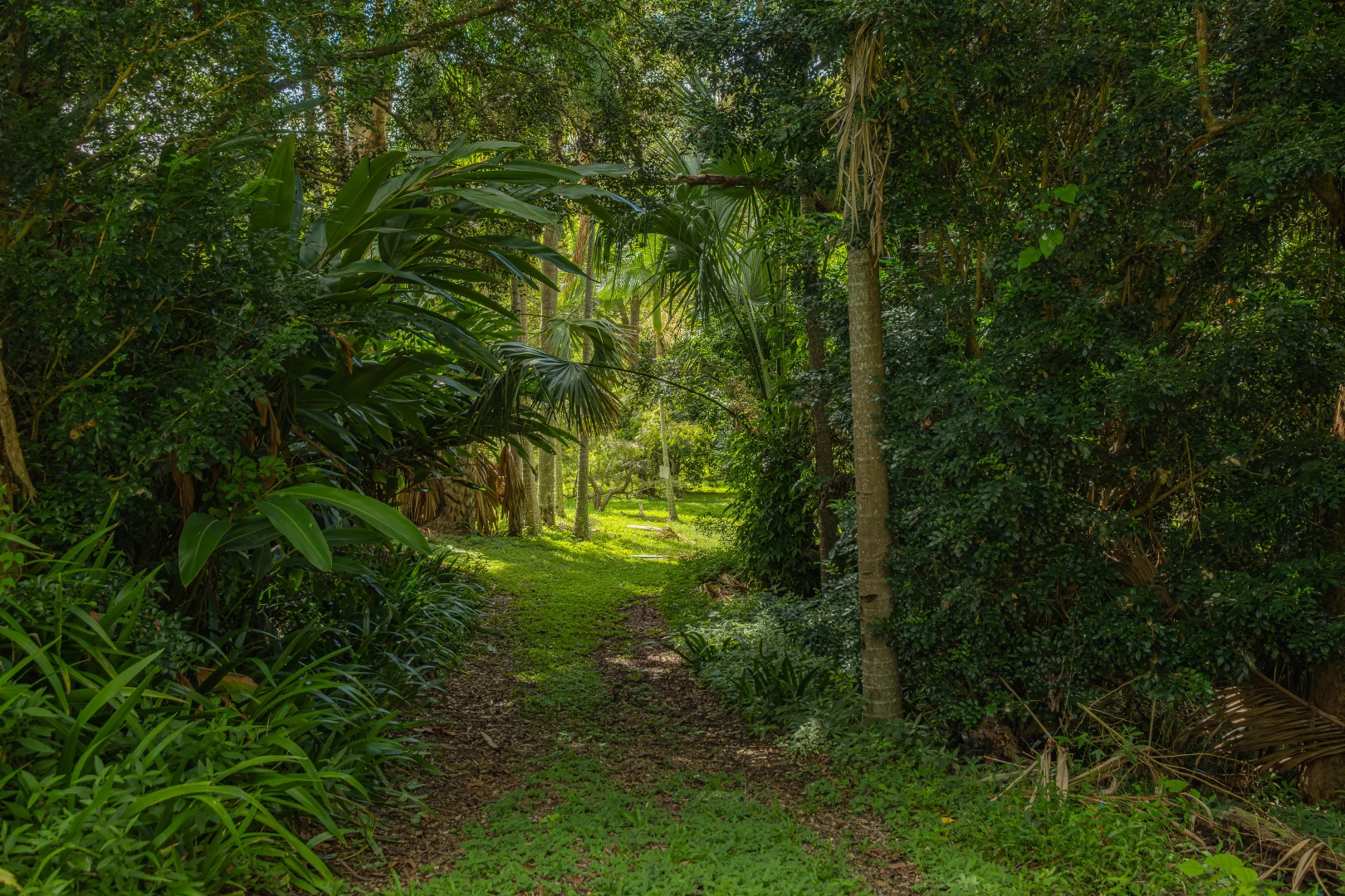 Additional image 15 of 117 Neusavale Road, Wolvi QLD 4570