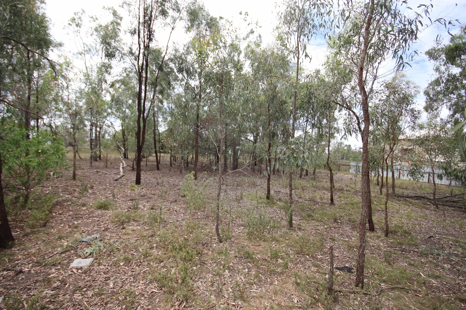 Image 13