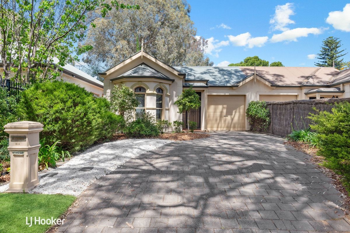 18A Rosedale Avenue, Wattle Park SA 5066, Image 0