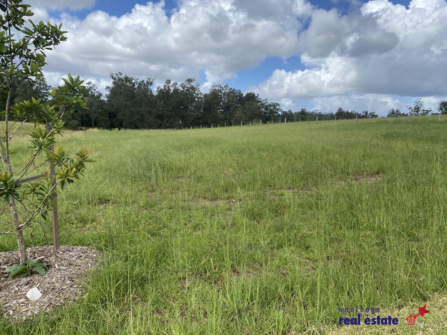 Lot 136 Neville Road, Beechwood NSW 2446, Image 1