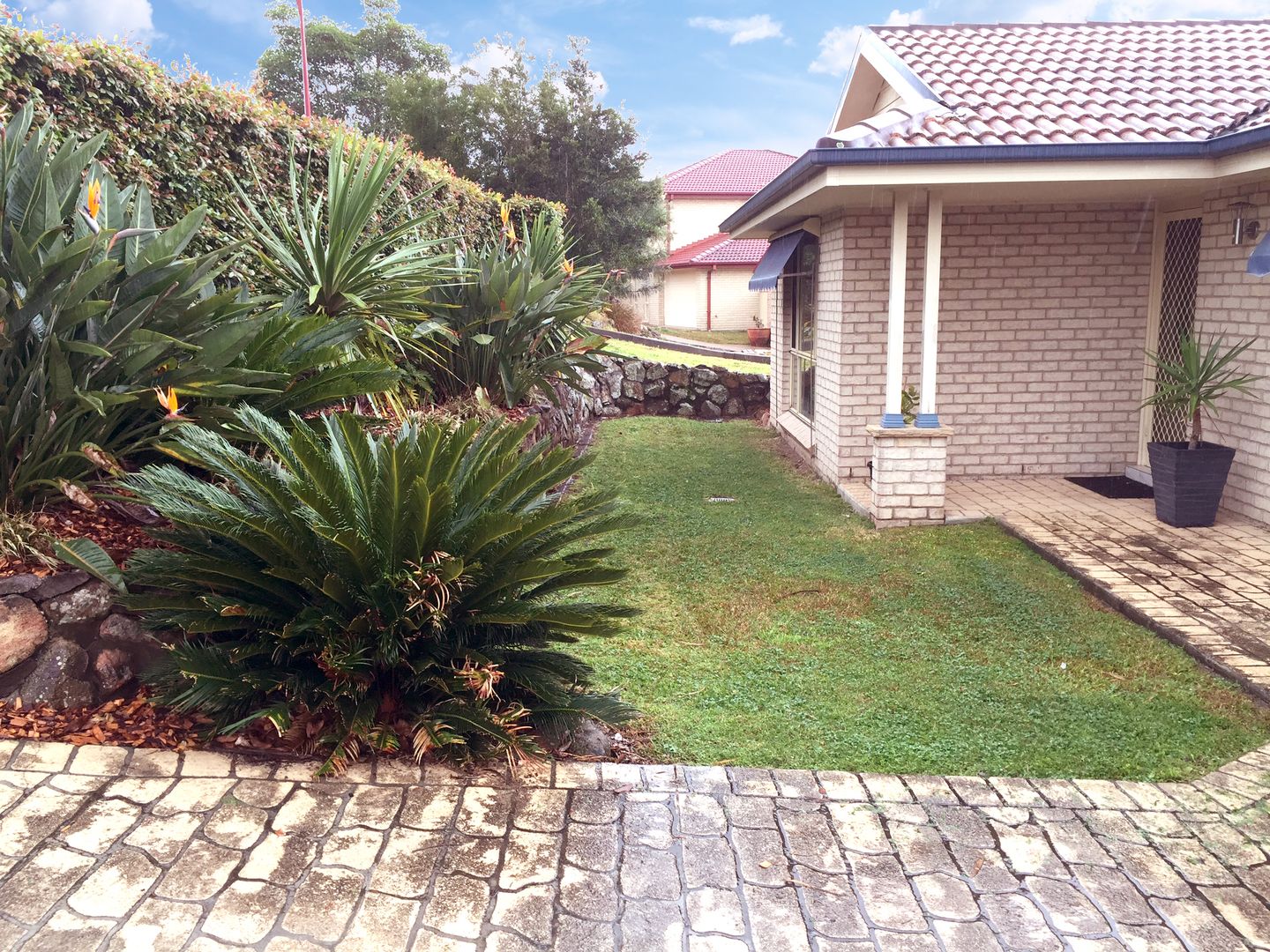 14 Shiraz Drive, Bonnells Bay NSW 2264 House For Rent 560 Domain