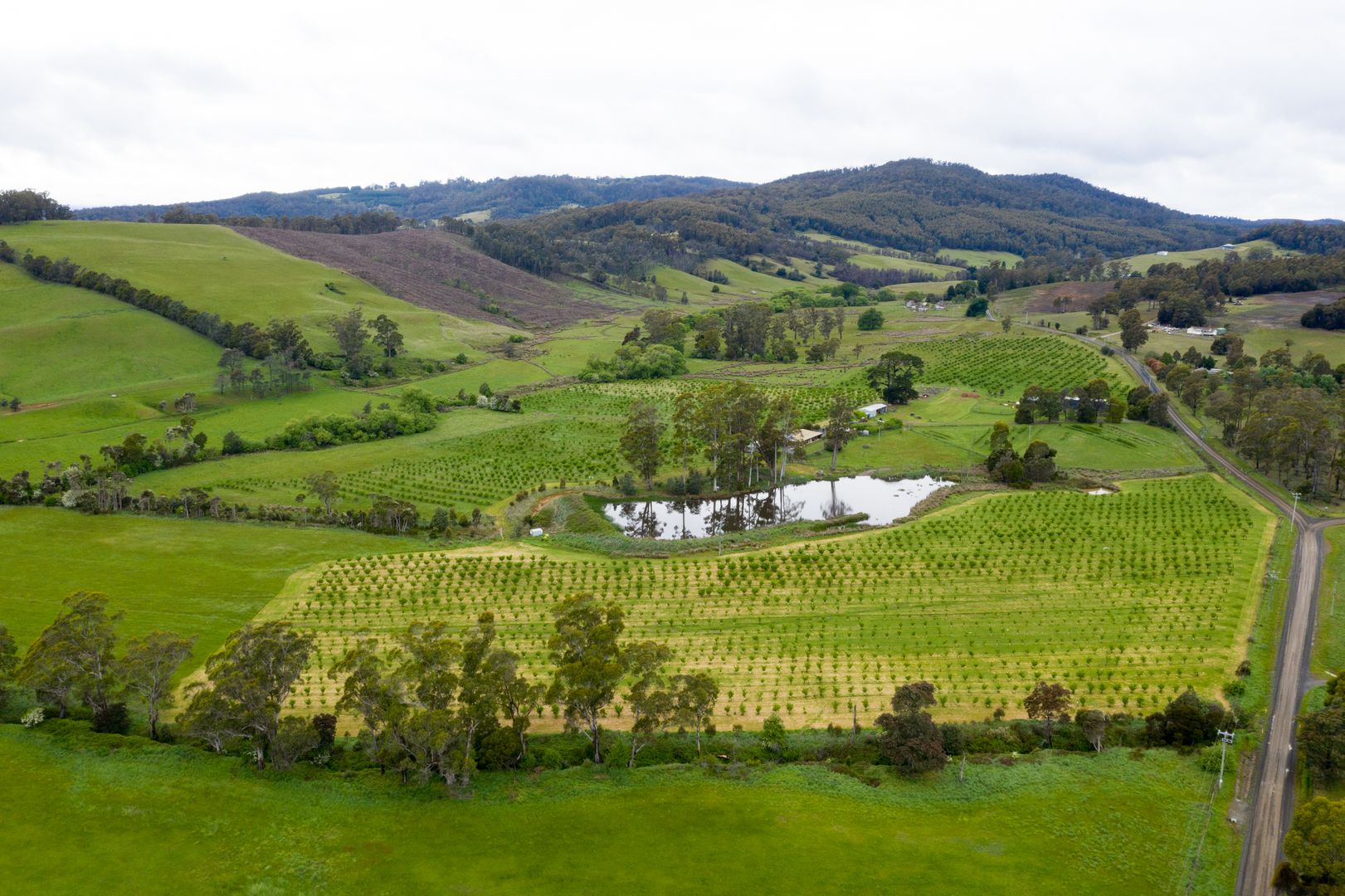 43 Turkey Farm Road, Glengarry TAS 7275, Image 1