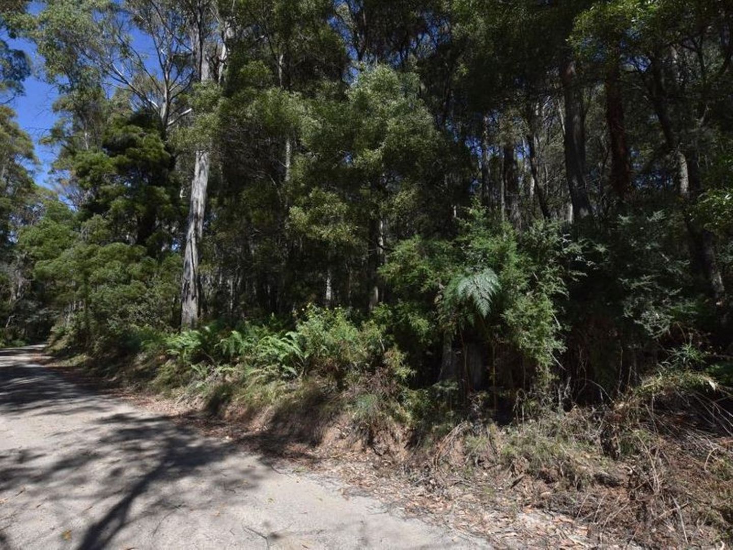 Lot 1 Farrells Road, Reedy Marsh TAS 7304, Image 1