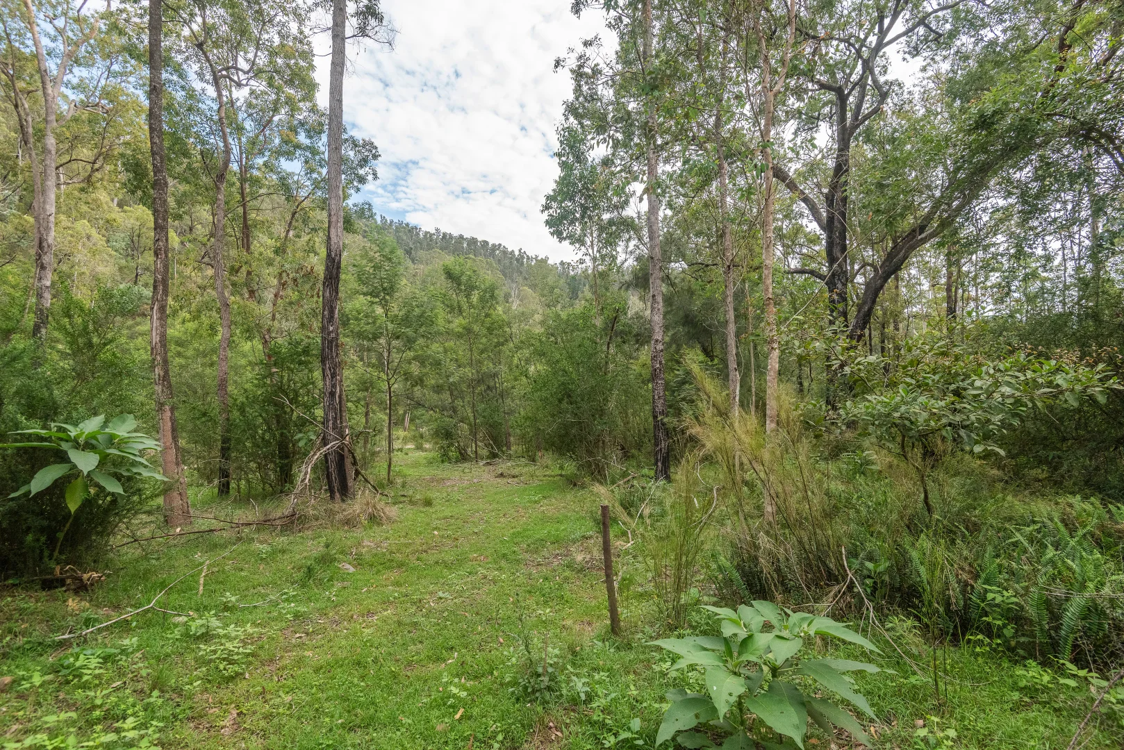 Additional image 18 of 2600 Araluen Road, Deua River Valley NSW 2537