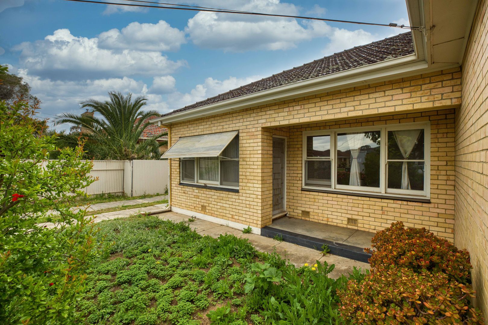 20 Daly Street, South Plympton SA 5038, Image 2