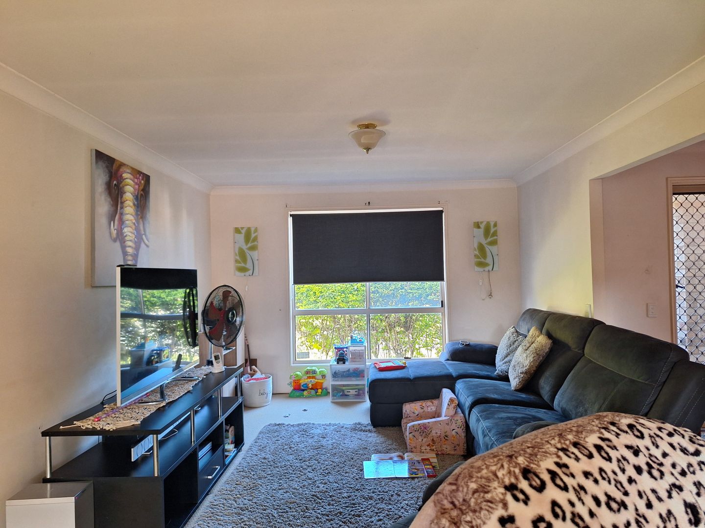 4 Nolan Place, Calamvale QLD 4116 House For Rent Domain