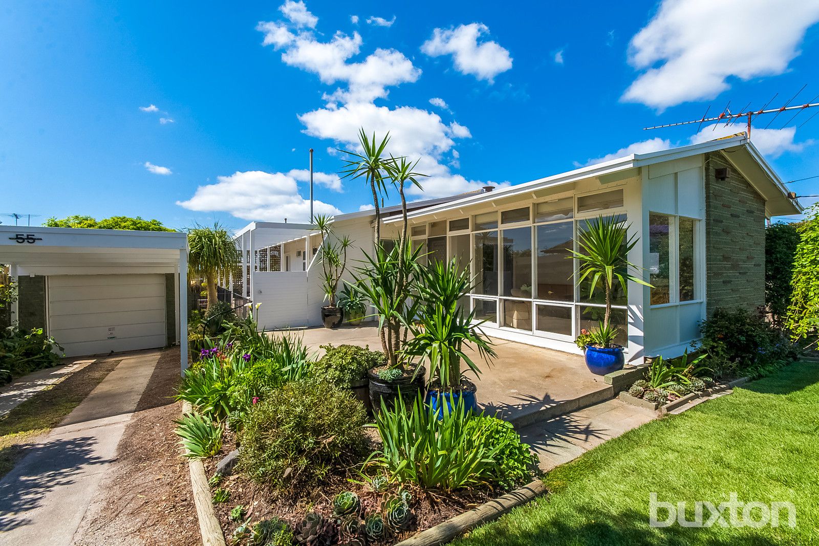 55 McCurdy Road, Herne Hill VIC 3218, Image 0