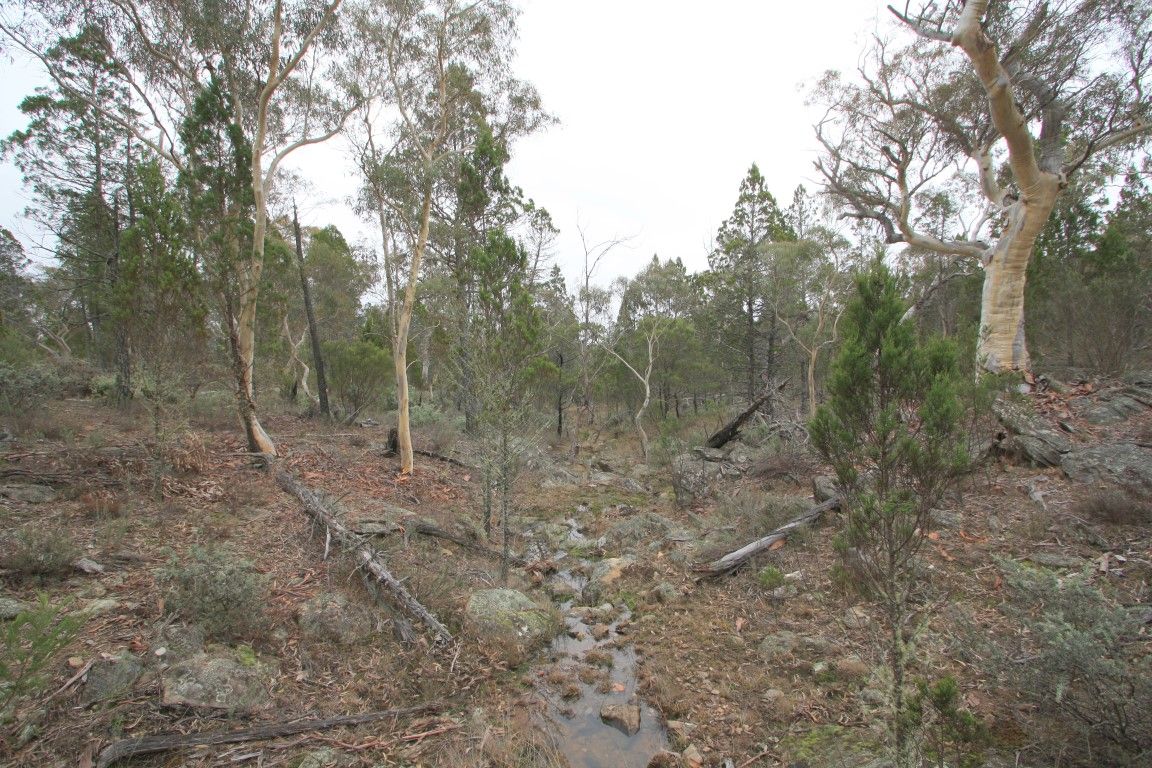 Lot 5 Woodlands Drive, Cooma NSW 2630, Image 2
