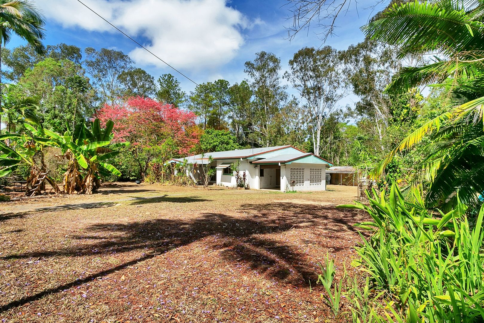 43 Veivers Drive, Speewah QLD 4881, Image 0