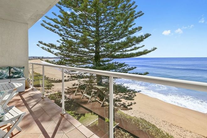 14 1 Bedroom Apartments For Rent In Warriewood Beach Nsw 2102 Domain
