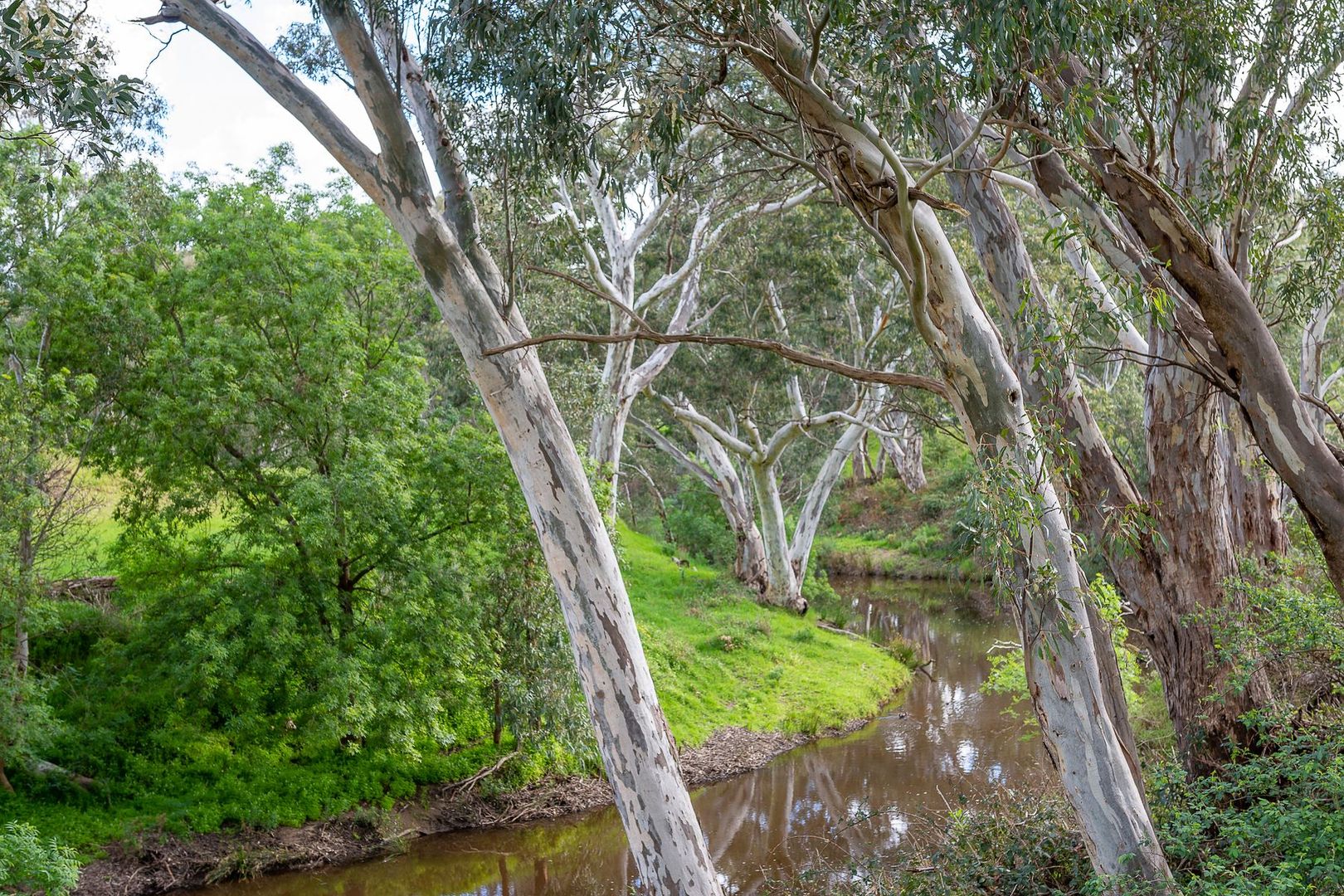 Lot 7 Bull Creek Road, Ashbourne SA 5157, Image 1