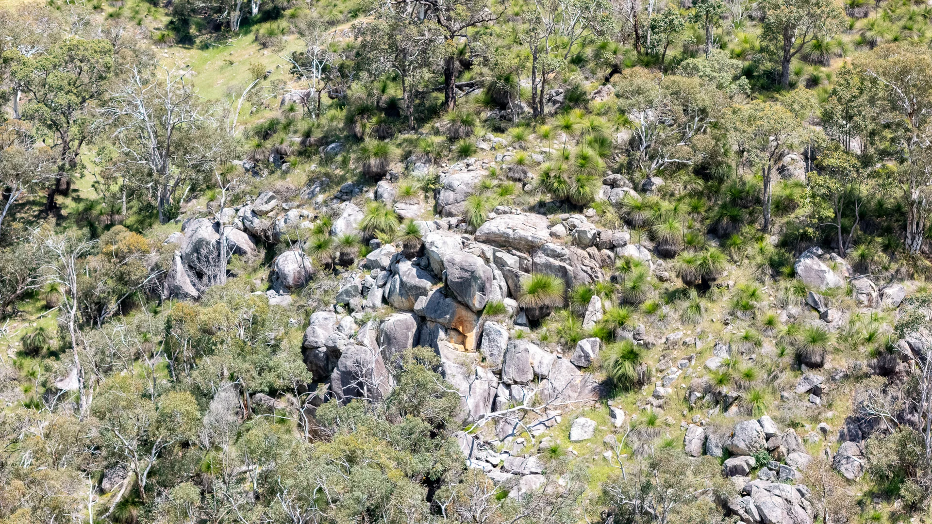 Image 14