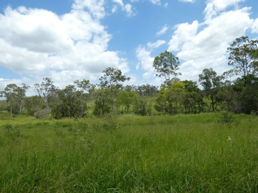 Image 10