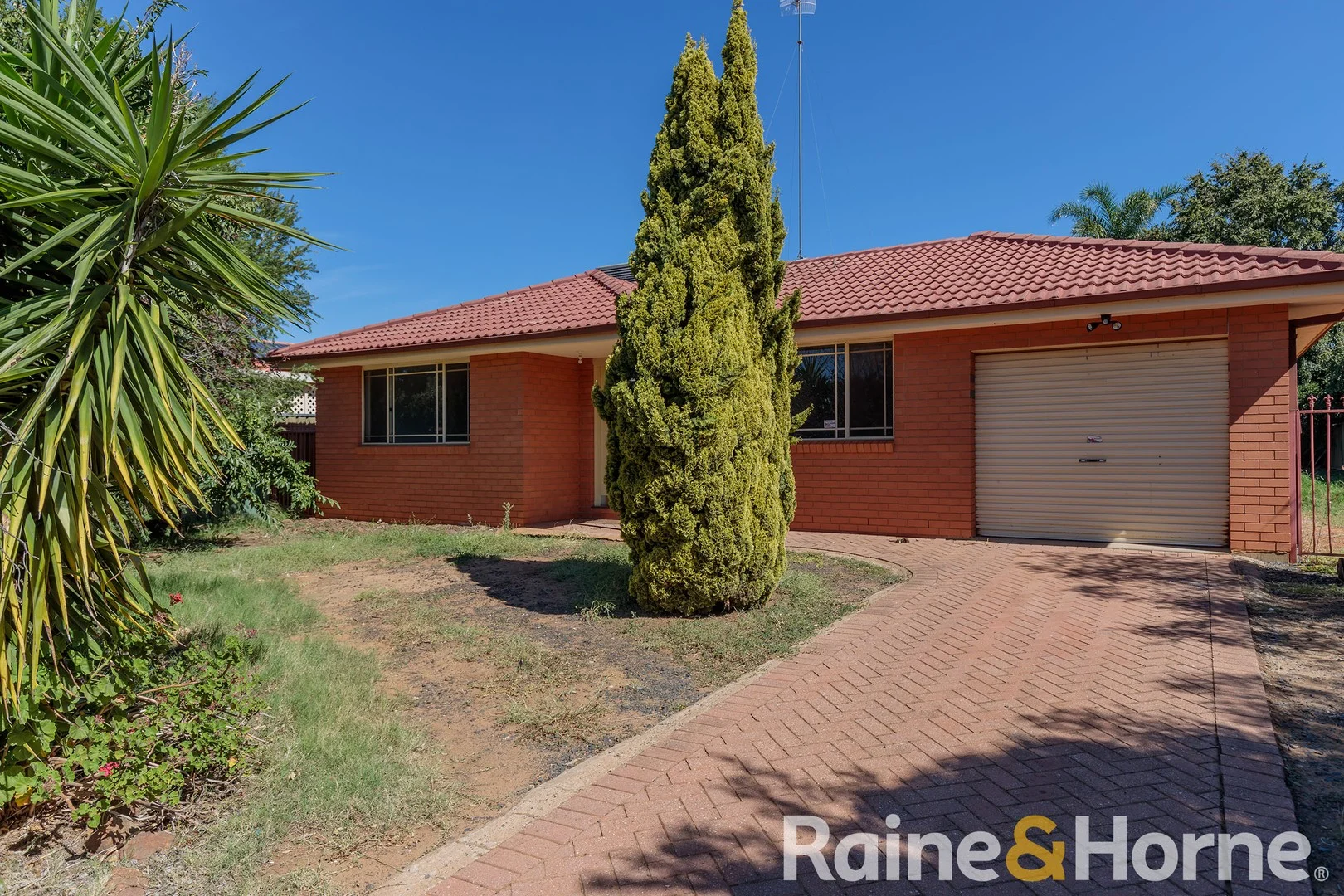 Primary image of 19 Rosella Street, Dubbo NSW 2830