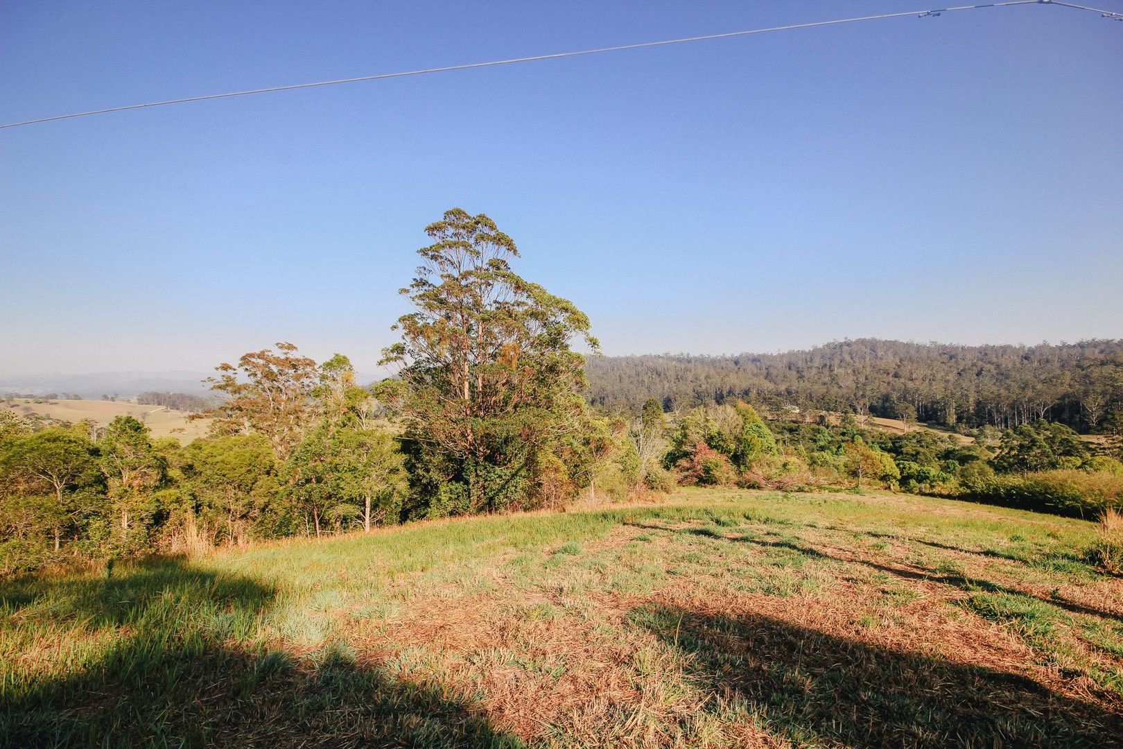 56 Somervilles Road, Lorne NSW 2439 Vacant Land for Sale Domain